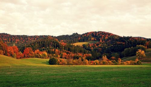 Scenic view of landscape against sky during autumn