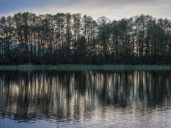 Scenic view of lake in forest against sky