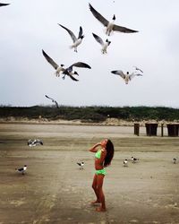 Full length of girl looking at seagulls