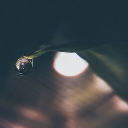 Low angle view of water drop on glass