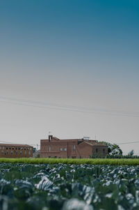 Scenic view of field by buildings against clear sky
