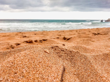 Scenic view of beach against sky