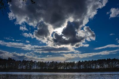 Scenic view of trees against sky