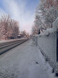 Snow covered road amidst trees against sky