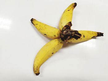 High angle view of yellow fruit on white background