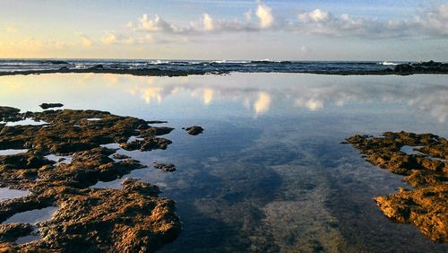 Scenic view of shore and sea against sky