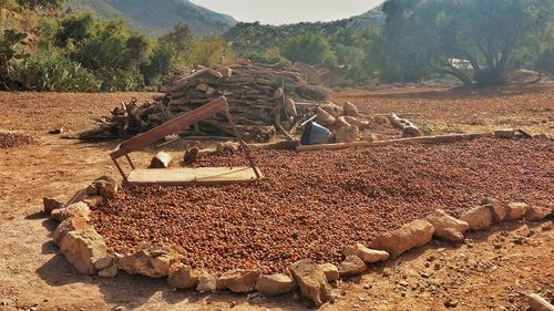 Deck chairs against sky