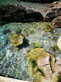 Scenic view of river flowing through rocks