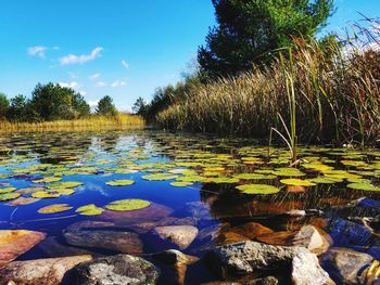 Scenic view of lake against sky