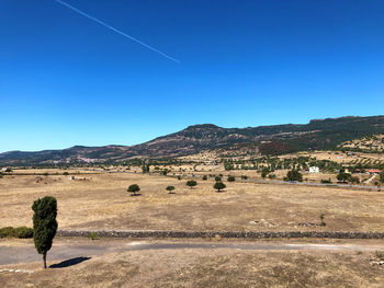 Scenic view of field against clear blue sky