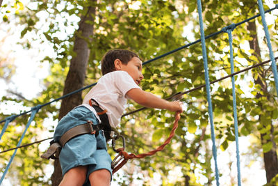 Low angle view of boy on obstacle course in forest