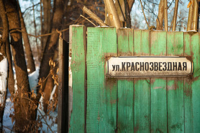 Close-up of text on tree trunk