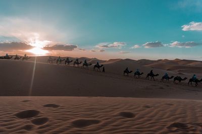 Camels and people on desert against sky during sunset