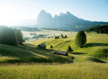 Scenic view of field against sky