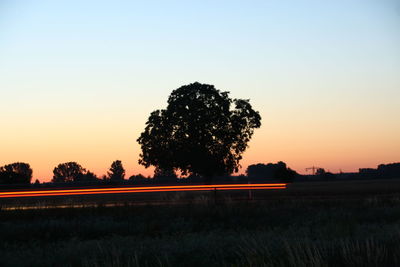 Silhouette trees on field against clear sky during sunset