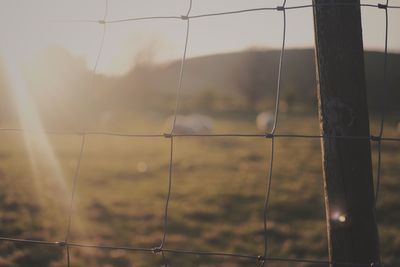 Close-up of fence