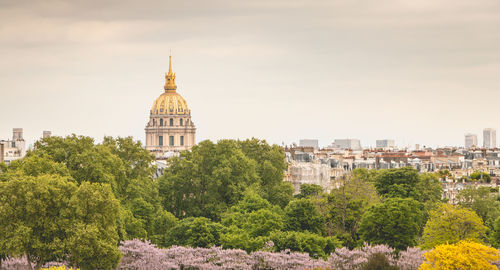 Trees and buildings in city against sky