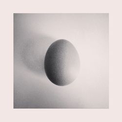 Directly above shot of eggs over white background
