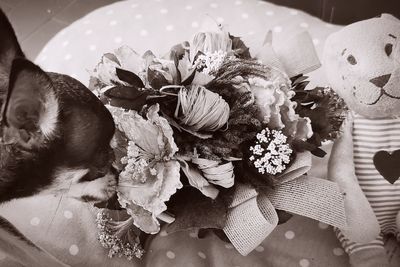 High angle view of plants on table at home