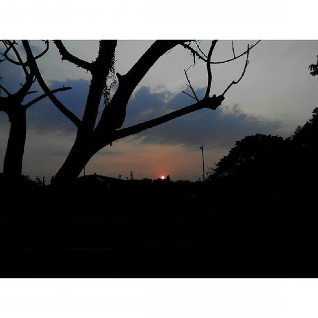 silhouette, sunset, sky, tree, tranquility, dark, scenics, tranquil scene, beauty in nature, outline, branch, nature, dusk, transfer print, bare tree, cloud - sky, outdoors, no people, idyllic, cloud