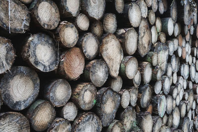 Full frame shot of logs