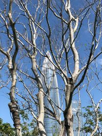 Low angle view of bare tree against sky