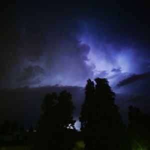 Low angle view of silhouette trees against sky at night