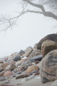 Pebbles on rocks