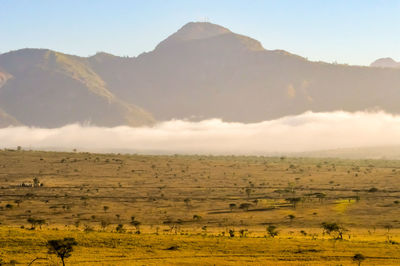 Scenic view of field against sky