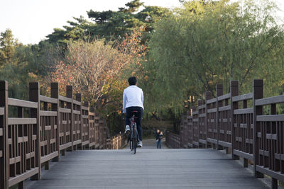 Rear view of man on bicycle