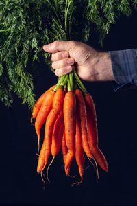 Close-up of man holding vegetables