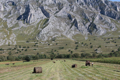 Hay bales on field against mountains