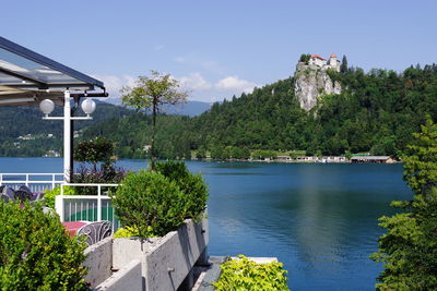 Plants by lake against sky