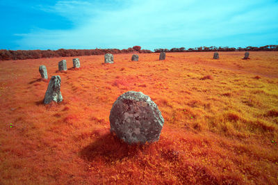 Hay bales on field against sky