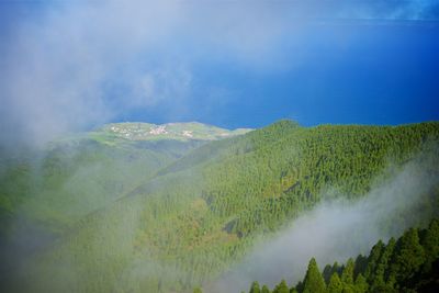 Panoramic shot of trees on land against sky
