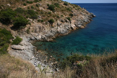 High angle view of rocks on beach