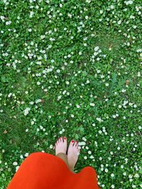 Low section of woman on flowering plants