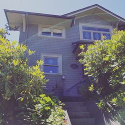 Tree and house against sky