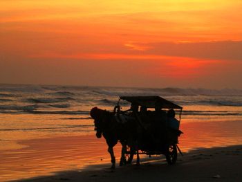 View of people riding horse on beach during sunset