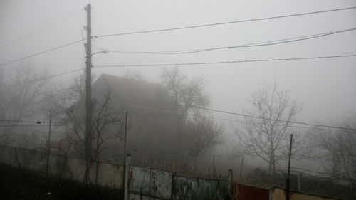 Bare trees by electricity pylon in foggy weather