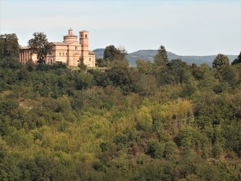 Plants and old building on field against sky