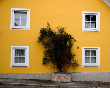 Exterior of yellow building