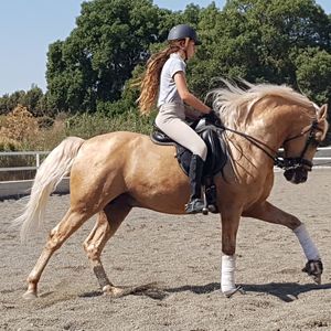 Side view of teenage girl riding horse