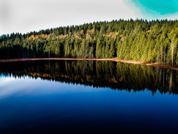 Scenic view of lake by trees against sky