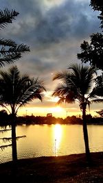 Silhouette palm trees by lake against sky during sunset