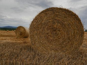 Scenic view of rural landscape