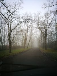 Road amidst trees against sky