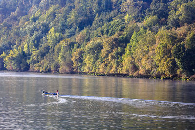 Scenic view of lake in forest