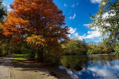 Trees by lake against sky during autumn