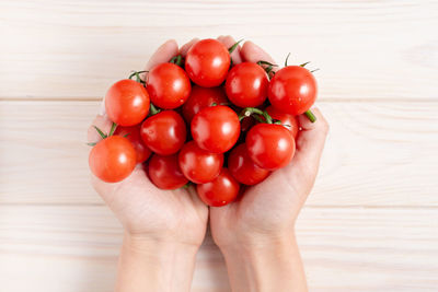 High angle view of cherry tomatoes in hand